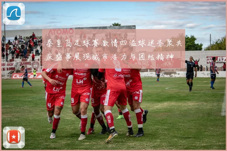 秦皇岛足球赛激情四溢球迷齐聚共庆盛事展现城市活力与团结精神