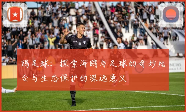 鸥足球：探索海鸥与足球的奇妙结合与生态保护的深远意义
