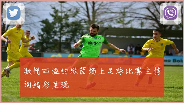 激情四溢的绿茵场上足球比赛主持词精彩呈现