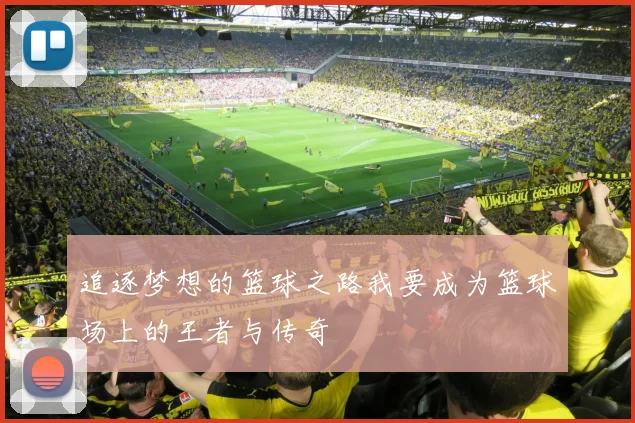 追逐梦想的篮球之路我要成为篮球场上的王者与传奇