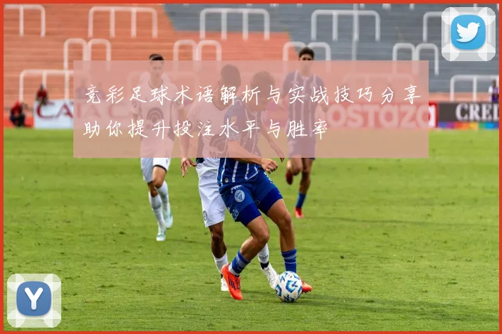 竞彩足球术语解析与实战技巧分享助你提升投注水平与胜率