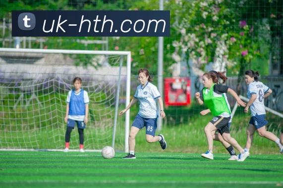 hth sports平台生态图